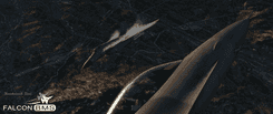 2560x1080_15.png